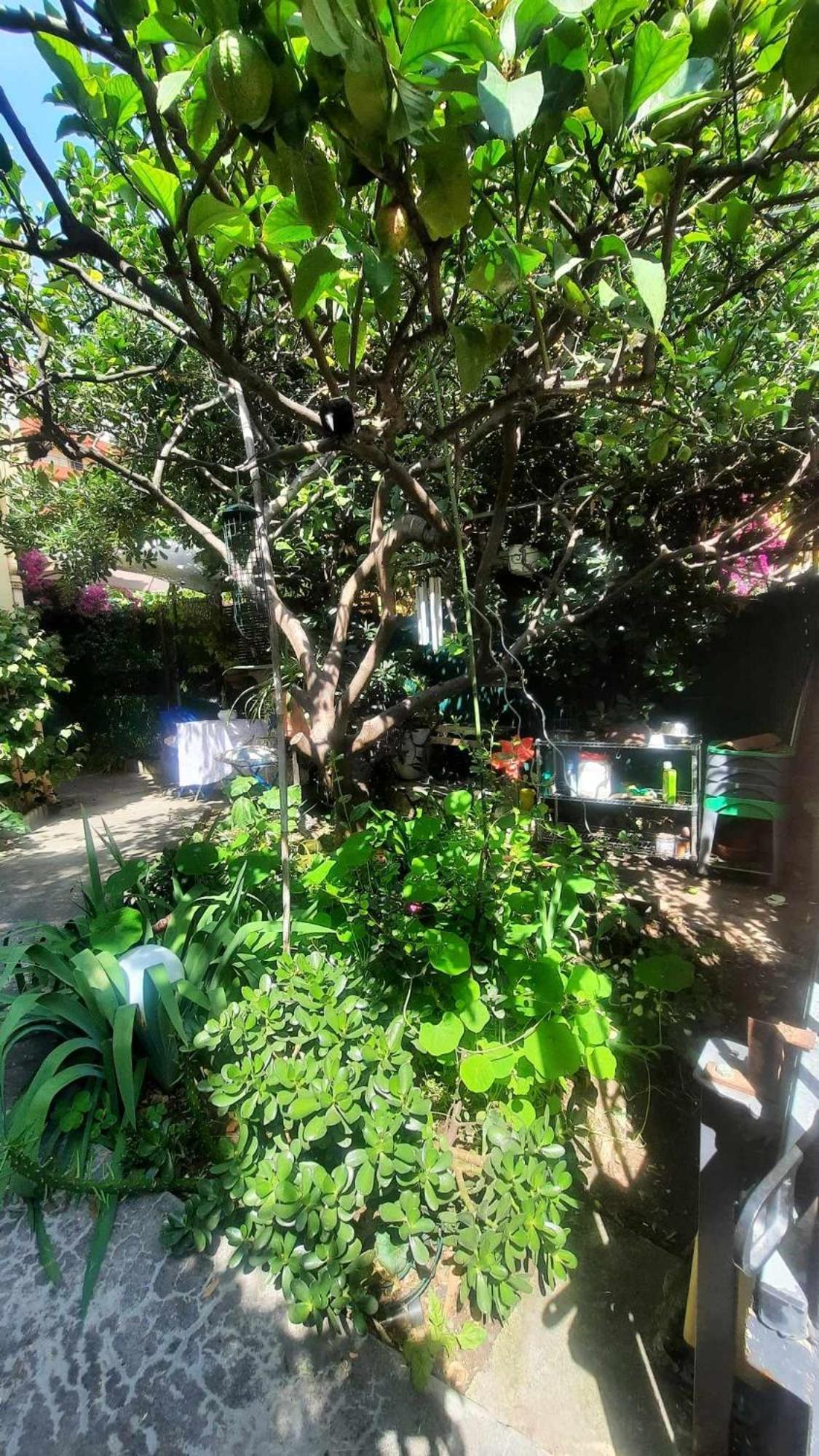 Les Violettes Appartement Menton Buitenkant foto