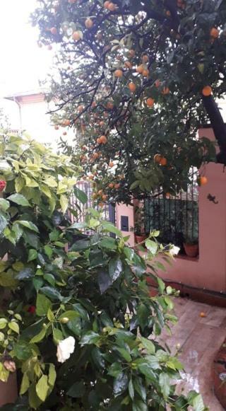 Les Violettes Appartement Menton Buitenkant foto